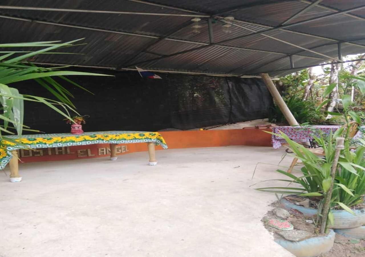 Hostal Familiar El Angel Panama B&B Pajonal Arriba Exterior foto