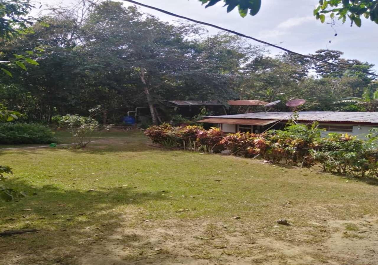 Hostal Familiar El Angel Panama B&B Pajonal Arriba Exterior foto