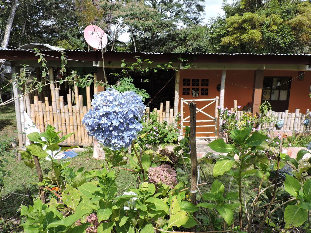 Hostal Familiar El Angel Panama B&B Pajonal Arriba Exterior foto
